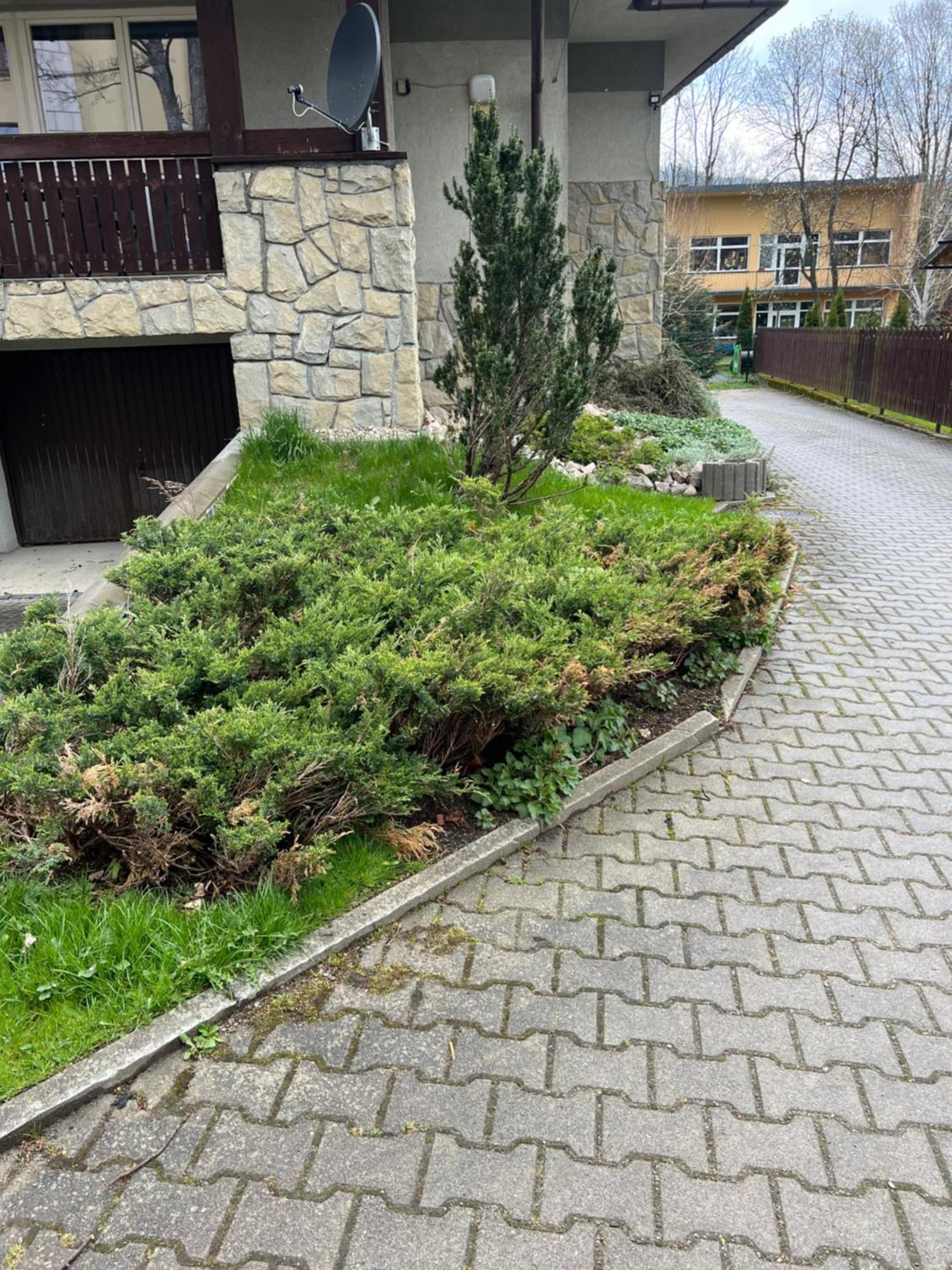 Apartament Sniezka Zakopane Exterior foto